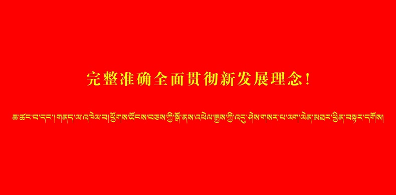 完整准确全面贯彻新发展理念
